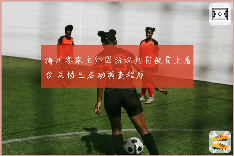 梅州客家主帅因抗议判罚被罚上看台 足协已启动调查程序