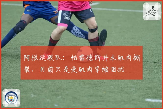 阿根廷跟队：帕雷德斯并未肌肉撕裂，目前只是受肌肉挛缩困扰