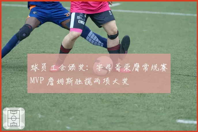 球员工会颁奖:字母哥荣膺常规赛MVP 詹姆斯独揽两项大奖