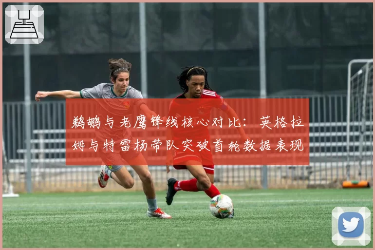 鹈鹕与老鹰锋线核心对比：英格拉姆与特雷杨带队突破首轮数据表现
