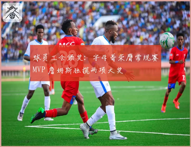 球员工会颁奖：字母哥荣膺常规赛MVP 詹姆斯独揽两项大奖